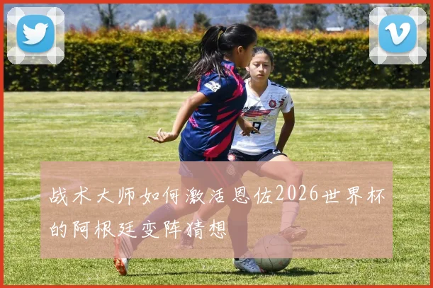战术大师如何激活恩佐2026世界杯的阿根廷变阵猜想