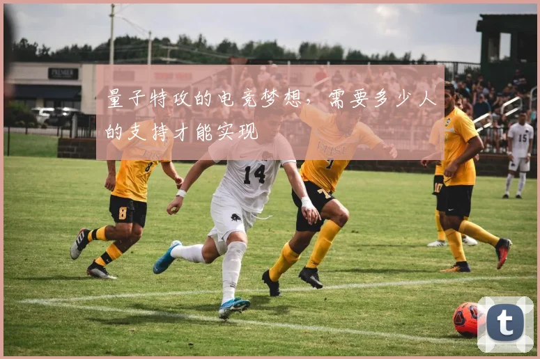 量子特攻的电竞梦想，需要多少人的支持才能实现