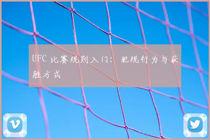 UFC 比赛规则入门：犯规行为与获胜方式